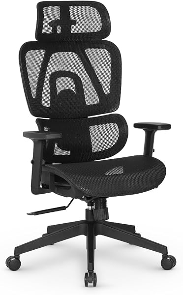 Cadeira DT3 Ergonomica Valor