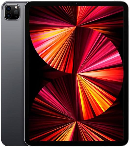 iPad Pro 11 Polegadas (Cinza Espacial)